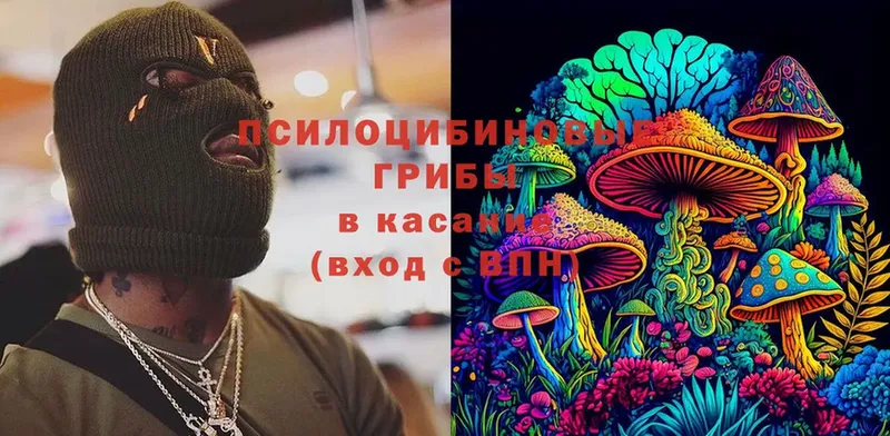 Галлюциногенные грибы ЛСД Лебедянь