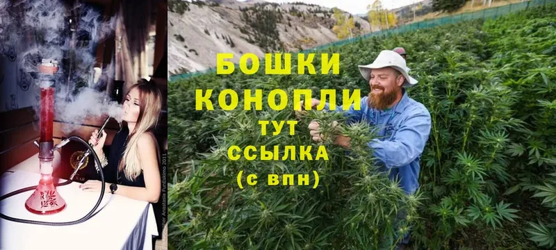 Бошки марихуана THC 21%  Лебедянь 